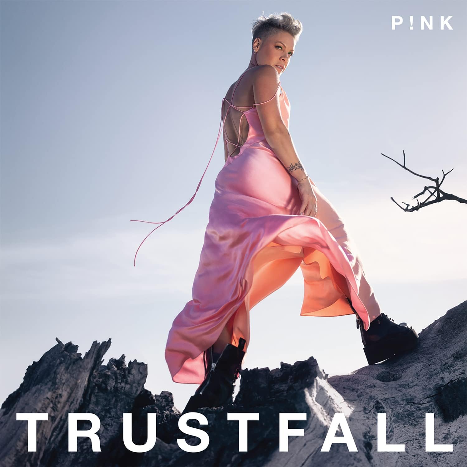 Image of Artwork for P!NK's Trustfall (CD)